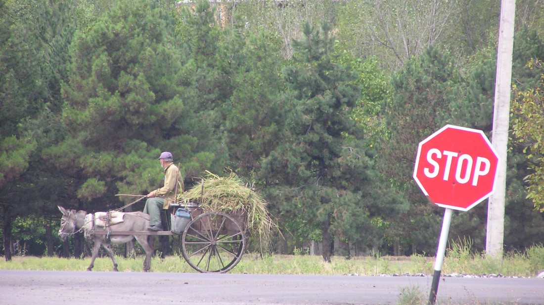 Karren von Esel gezogen mit Stop Schild